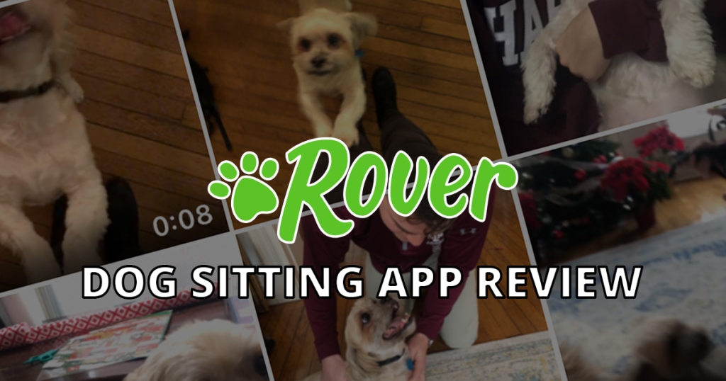 Best Dog Sitting App at Michael Tinsley blog