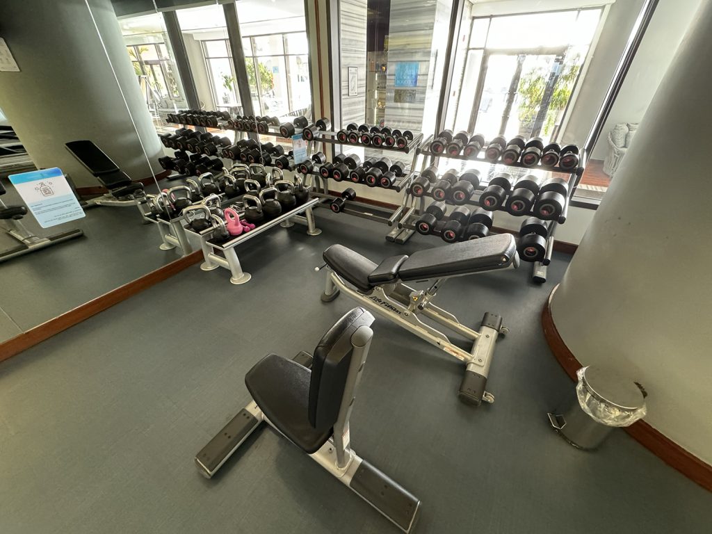 InterContinental Semiramis gym